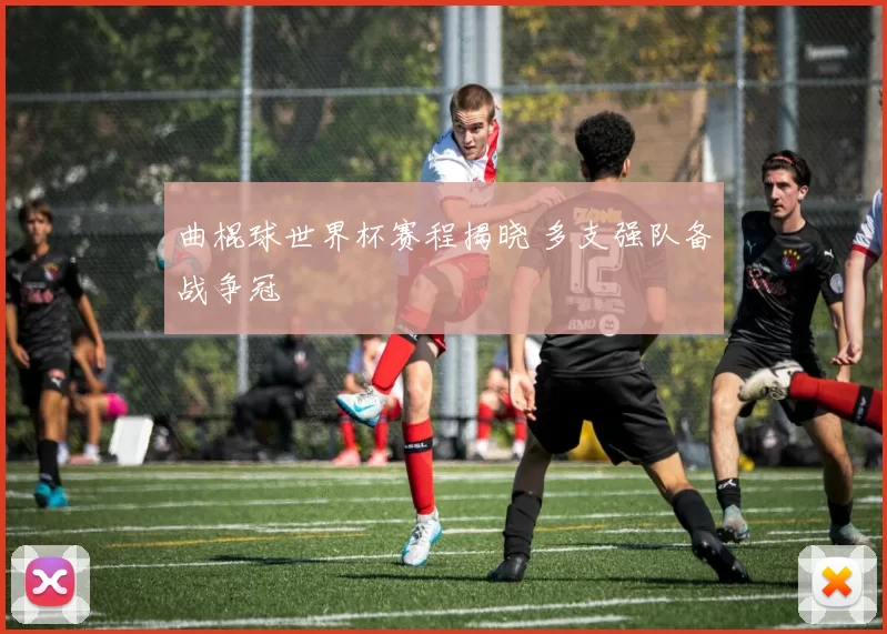 曲棍球世界杯赛程揭晓 多支强队备战争冠