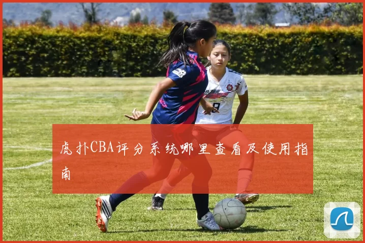 虎扑CBA评分系统哪里查看及使用指南