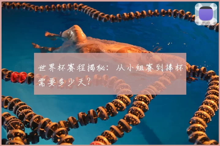世界杯赛程揭秘:从小组赛到捧杯需要多少天?