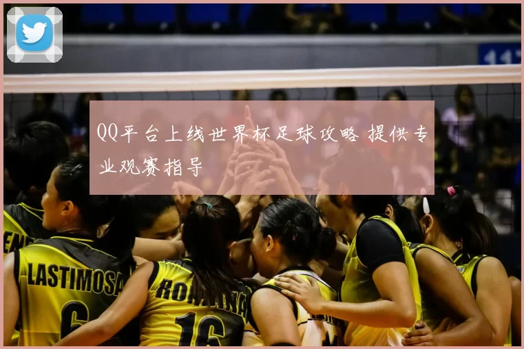 QQ平台上线世界杯足球攻略 提供专业观赛指导