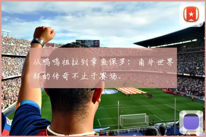 从呜呜祖拉到章鱼保罗：南非世界杯的传奇不止于赛场。