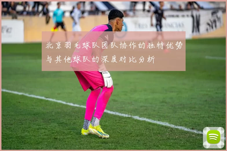 北京羽毛球队团队协作的独特优势与其他球队的深度对比分析
