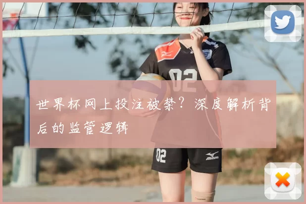 世界杯网上投注被禁？深度解析背后的监管逻辑