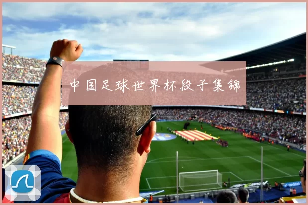 中国足球世界杯段子集锦