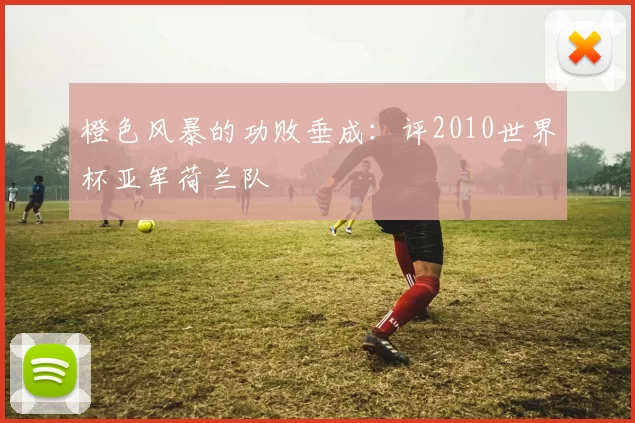 橙色风暴的功败垂成：评2010世界杯亚军荷兰队