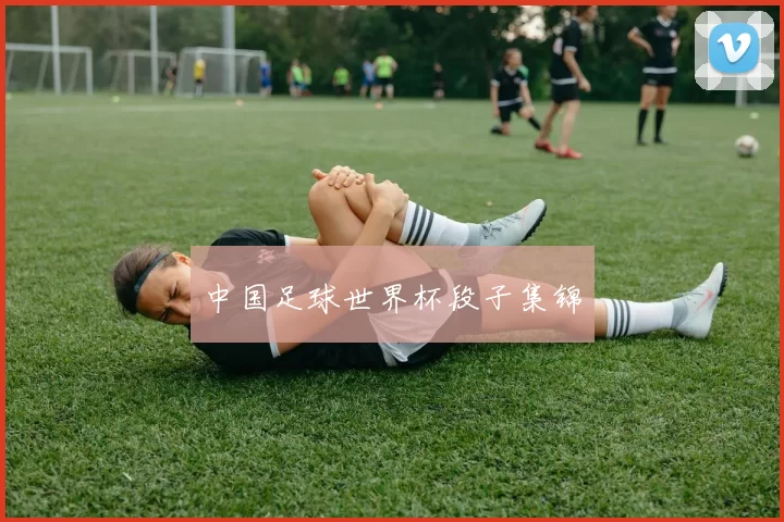 中国足球世界杯段子集锦
