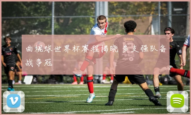 曲棍球世界杯赛程揭晓 多支强队备战争冠