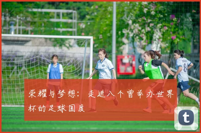 荣耀与梦想:走进八个曾举办世界杯的足球国度