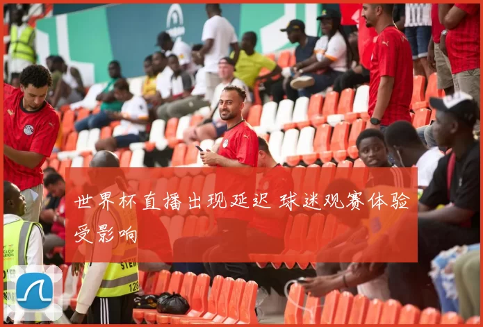 世界杯直播出现延迟 球迷观赛体验受影响